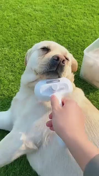 Cepillo Autolimpiante con Vapor 3 en 1 para Perros y Gatos | MyPet